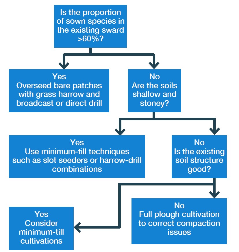 A decision tree for choosing a cultivation technique. Copyright AHDB. 